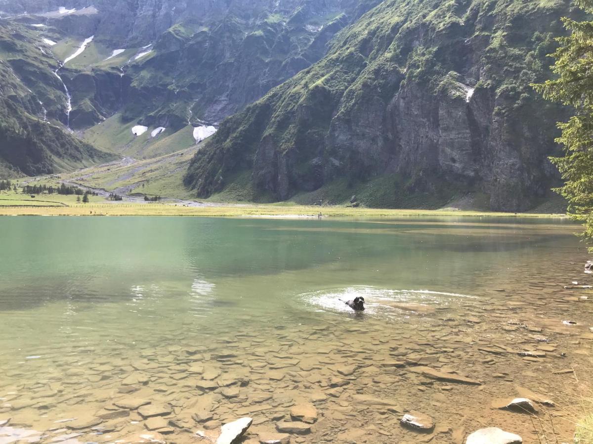 Ferienwohnung Wildkogelblick Bramberg am Wildkogel Εξωτερικό φωτογραφία